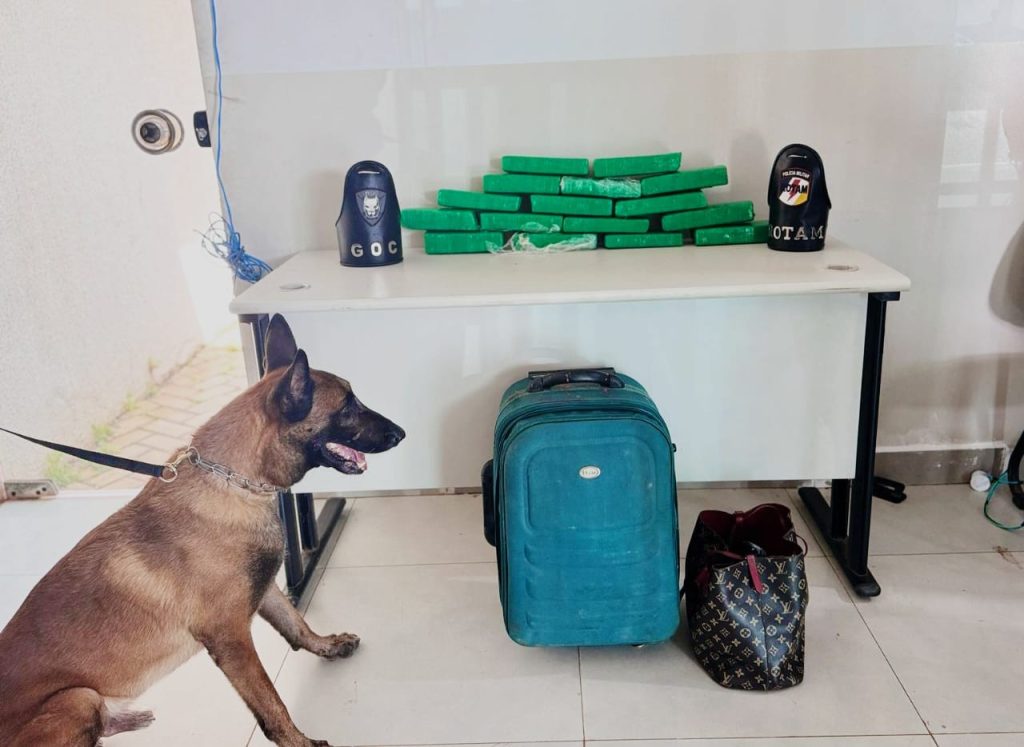 Homem flagrado com cerca de 10 kg de maconha dentro de mala, solta objeto ao avistar policiais e é preso