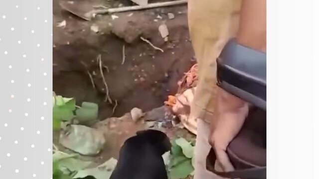 Justiça aceita denúncia, e mulher vira ré pelo assassinato do marido; corpo estava em cova no quintal