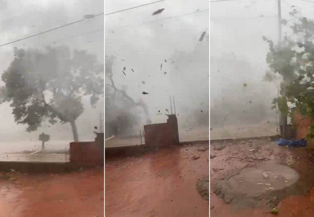 Vídeo mostra ventania derrubando árvores; moradora se assusta: ‘Meu Deus do céu’